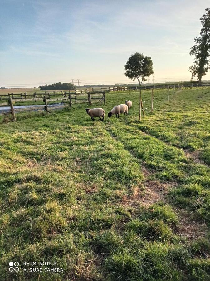 Pulilane Hotell Le Torp-Mesnil Exteriör bild